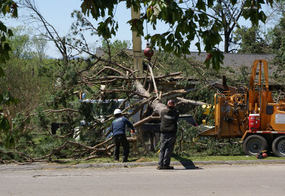 Processing a down tree