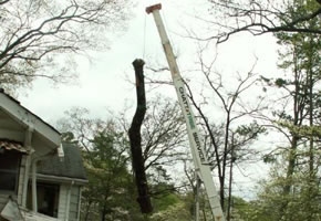 The carson house ready for repair