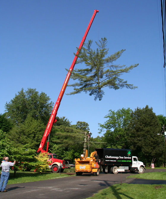 Chattanooga Tree Service's Chipper and Chip Truck