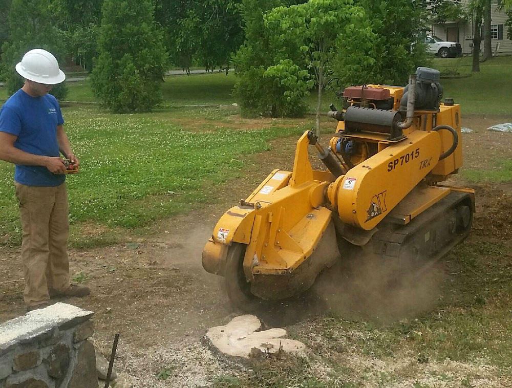 Stump being removed