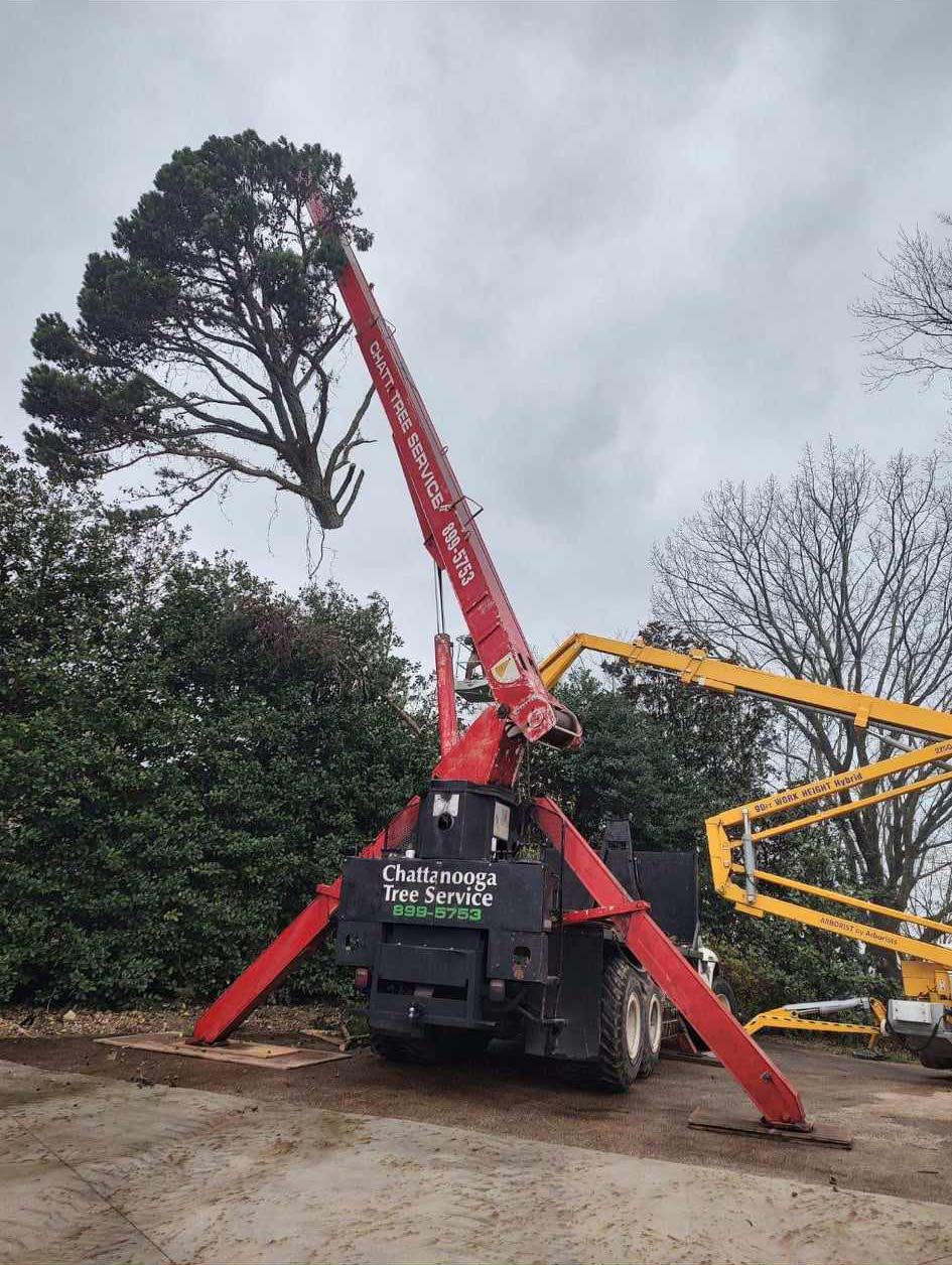 Chattanooga Tree Service's Cranes